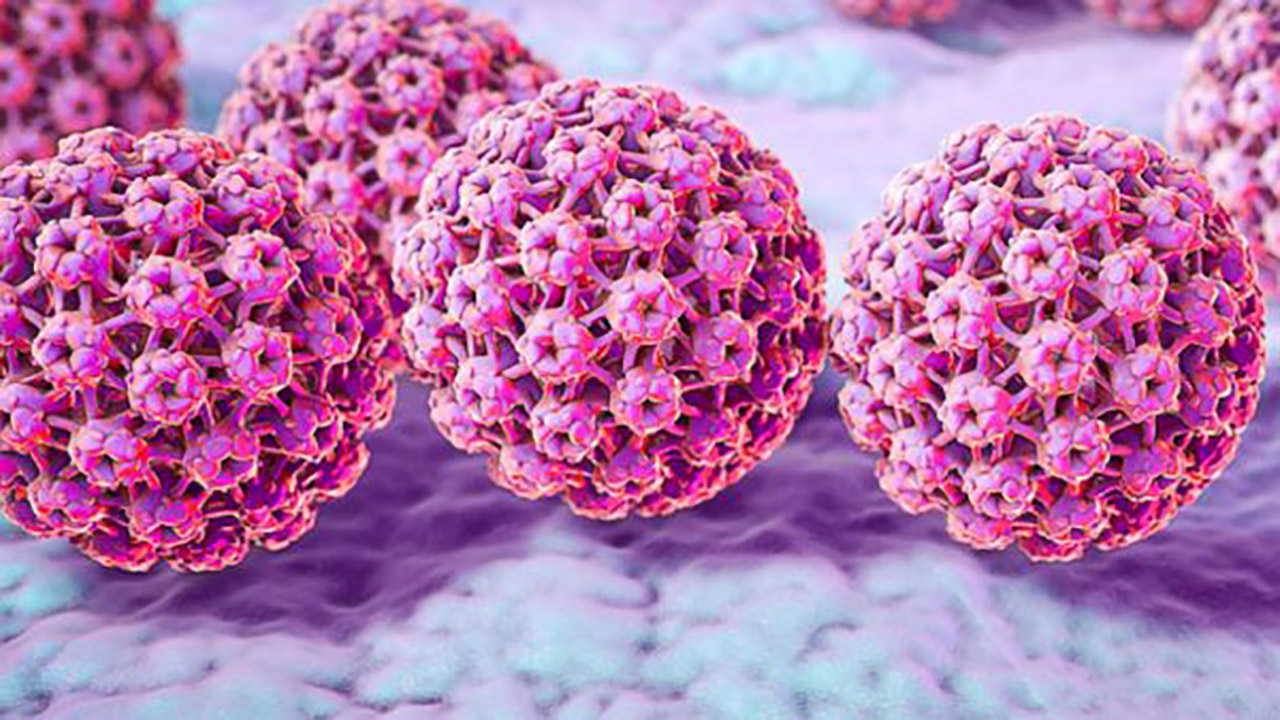 بیماری Hpv چیست؟